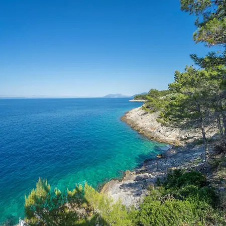 Amazing In With Wifi * Blato (Korcula)